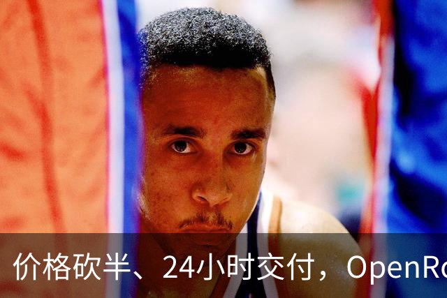 价格砍半、24小时交付，OpenRouter上线批量接口